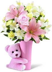 The FTD Baby Girl Big Hug Bouquet 